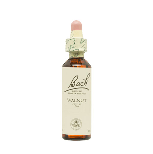 [5000488104097] Walnut Nº 33 "Nogal" 20 Ml (Bach Flowers)
