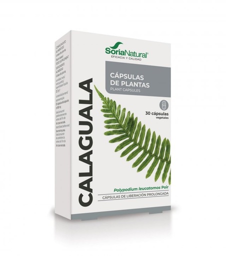 [8422947090586] Calaguala 30 Caps. (Soria)
