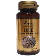 [8424409321917] BHE polyporus + escaramujo 60 Caps. (Plantapol)